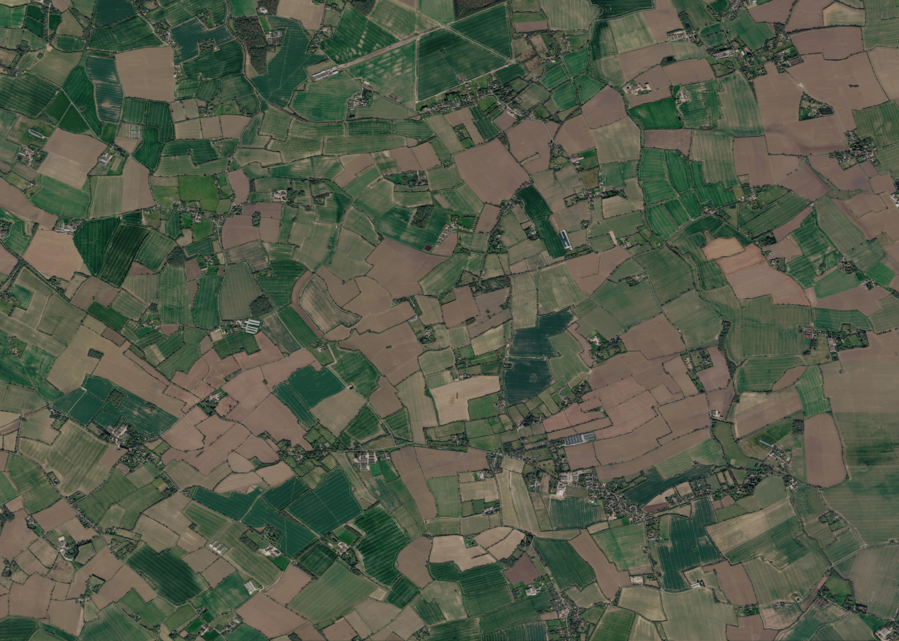 Satellite