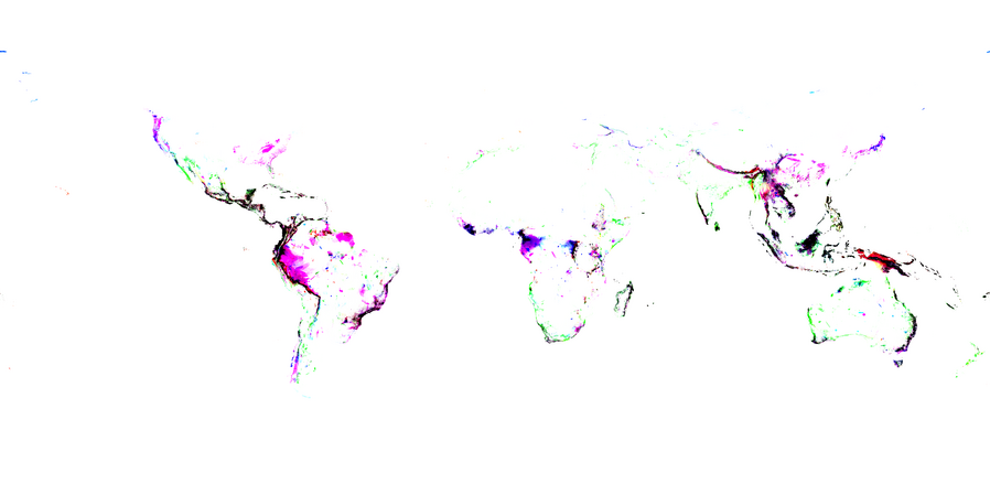 An image showing a set of coloured areas that map to the main landmasses of the earth. The darker colours are more evident around the central belt of the planet: the Amazon in South America, the central belt of Africa, and across Indonesia.