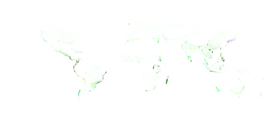 An image showing a set of coloured areas that map to the main landmasses of the earth. Most of the colour is on the coast lines, and is particularly intense in Madagascar