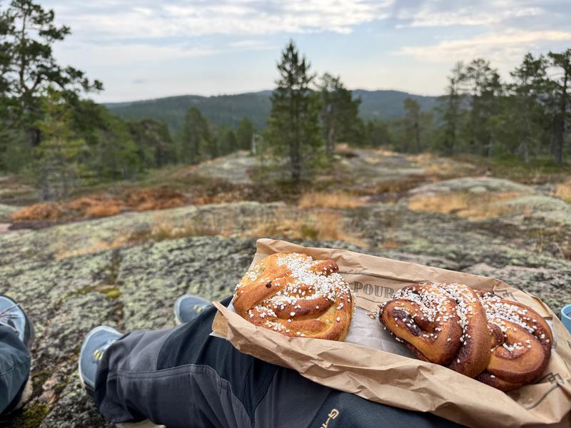 Ett foto av höga kusten landskapet, med trådar och kvällar, och två par av ben, och på de är två bullar