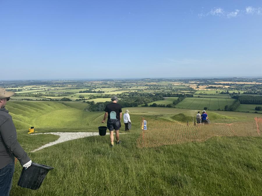 A photo taken from the top of a hill showing several people with buckets and tools walking towards some chalk carvings in the hill side. In the distance you can see a flat expanse of farmland stretching to the horizon.