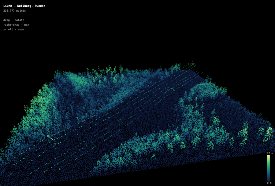 A screenshot of a set of points in 3D space taken from the lidar data. You can see not only trees, but also a clearing where the trees have been cut back and then a series of power lines run through that area.