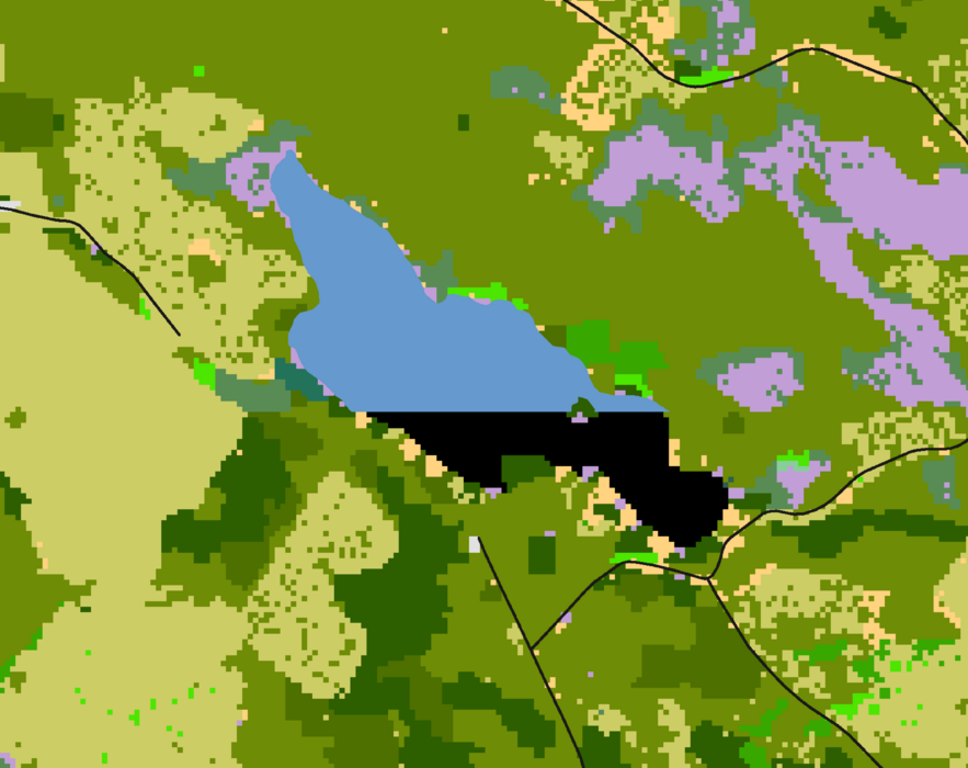Another artificially coloured map this time focussing on a lake. The top two thirds of the lake are coloured blue, and then the bottom third is black, with a straight horizontal delineation between the two colours.