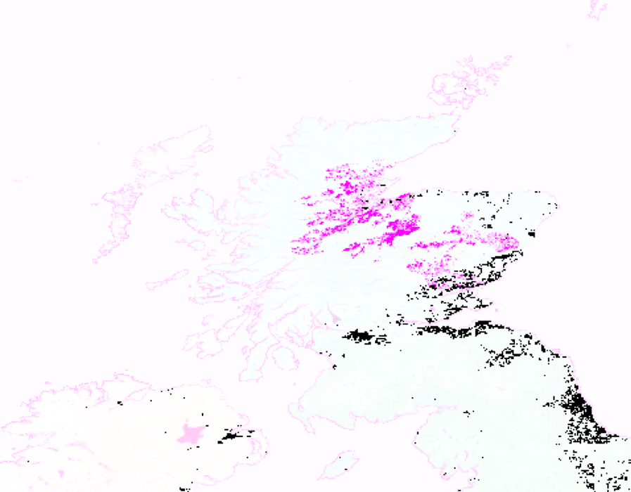 A screenshot of an artificially coloured map showing areas of Scotland. Most of it is white, both the land and the sea, but you can see a few bits in the central high lands are coloured pink and black, but also the entire coastline of Scotland is coloured pink.