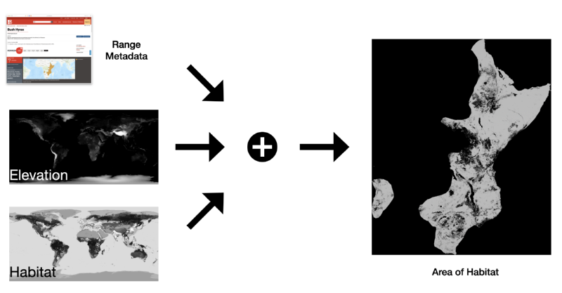 A diagram on which there are three data sources on the left (two raster maps, one of elevation and one of habitat class, and one being the IUCN website with a range polygon map), with arrows to a combine operator, then out the right is a raster map.