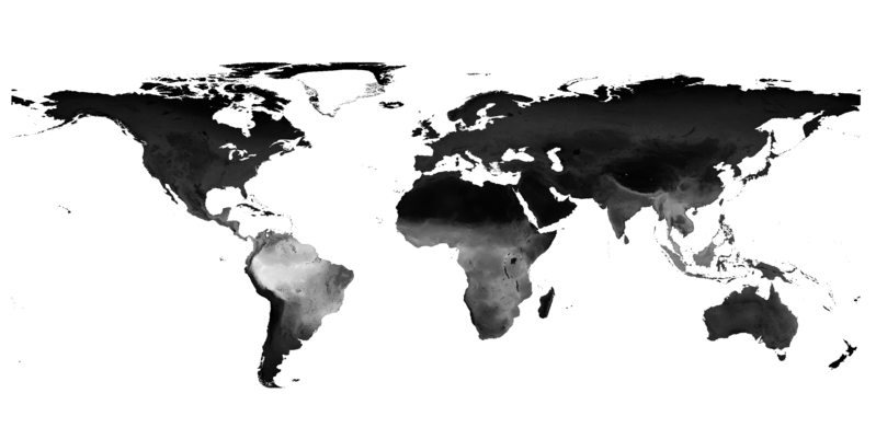 A map of the earth showing all the seas as white, and the land as mostly close to black with lighter patches where there are the most species in once place, which for this dataset of terrestrial vertebrates is between the tropics, particularly in the Amazon.