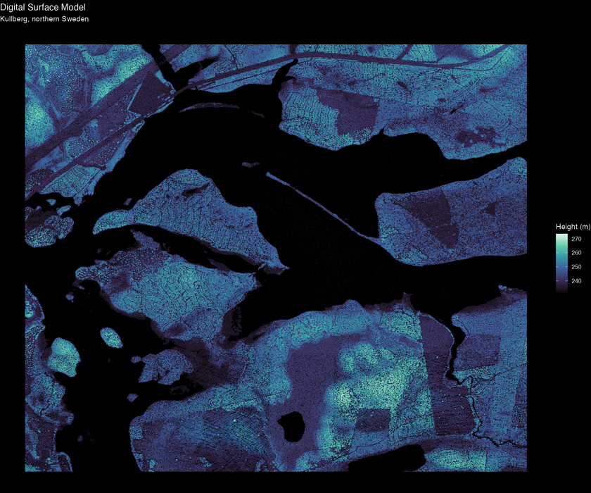 Another false colour image like the last one, but now it's much more noisy and you can see what look like individual trees all over the map.