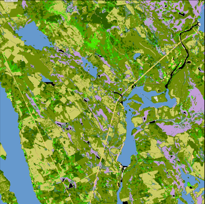 A screenshot of an artificially coloured map of an area of land, where each block of colour represents water or forest or wetlands etc.